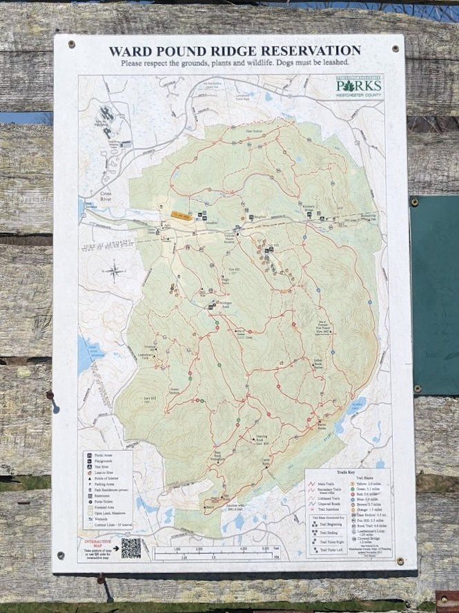 Inside a Residency: Meet My Muse